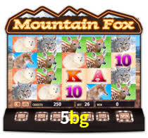 5bg